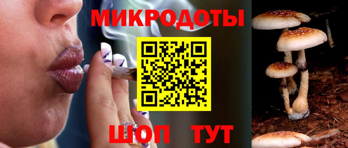Галлюциногенные грибы Psilocybine cubensis  Вход с VPN  Новоалександровск 